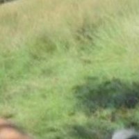 orelhinhas de urso (@oieisabella) 's Twitter Profile Photo orelhinhas de urso (@oieisabella) 's Twitter Profile Photo