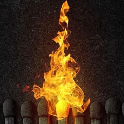 JuanXol19084003's profile picture. 