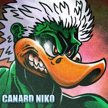 The Canard Niko 🦆