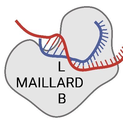 Maillard Lab