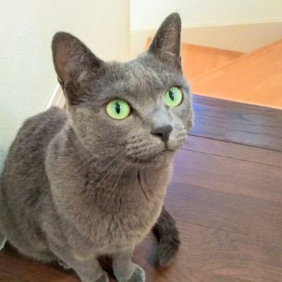 nodressing_'s profile picture. 05│カメラ,写真│阪神│ファジ│SOL