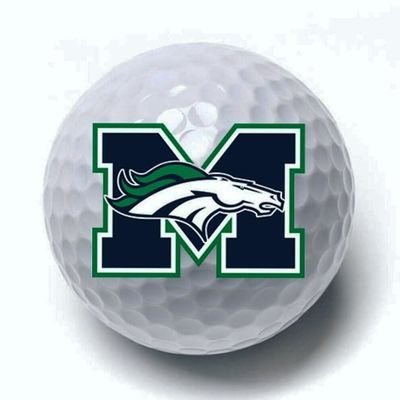 Marquette Mustangs Boys Golf