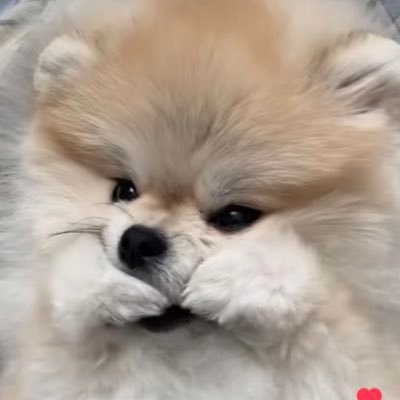 fan acc ★彡 ts13 🫧🌱요넝드림 დ なな의공듀🐰🐬🦊 rvv💙 æspa🩵 kiof🐈 | 𝙬𝙖𝙣𝙣𝙖 𝙗𝙚 𝙖 𝙨𝙞𝙣𝙜𝙚𝙧 #MildawnxRV