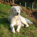 Barbara Zanotti - @Nevekira - Twitter