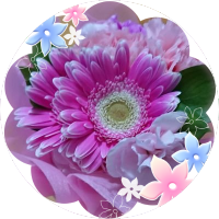 ☆☆YOKO☆☆☆ (@yoko_yoko125) 's Twitter Profile