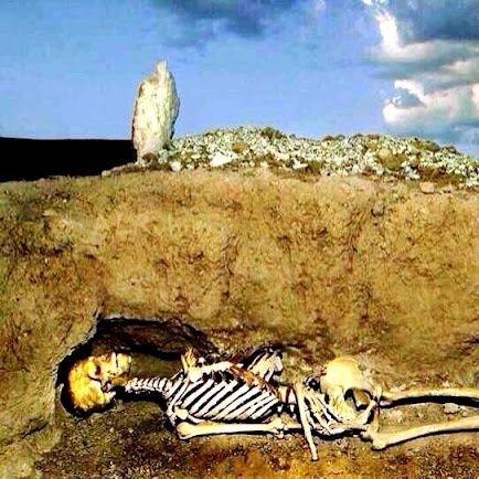 cerdikpisan's profile picture. yang bener hidup