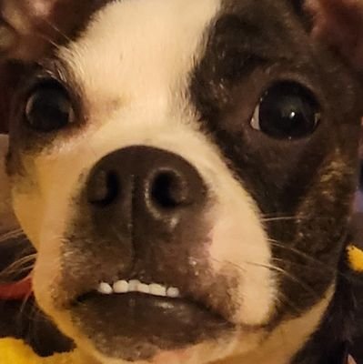 zenyoota's profile picture. 27. She/Her.