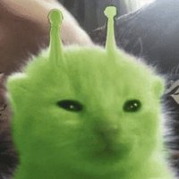 glorp (@glorpcatsol) 's Twitter Profile Photo glorp (@glorpcatsol) 's Twitter Profile Photo