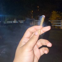 singledelwest (@singledelwc) 's Twitter Profile