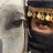 HindHanoooo's profile image