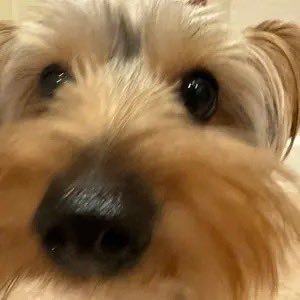 BlueMonkeyVR14's profile picture. hi there!