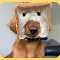 PureBreadSolDog (@purebreadsoldog) 's Twitter Profile
