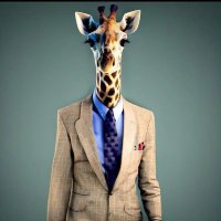 Joseph Lizyness (@josephlizyness) 's Twitter Profile Photo Joseph Lizyness (@josephlizyness) 's Twitter Profile Photo
