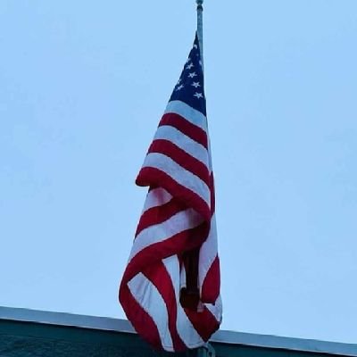 sowemomodou338's profile picture. 