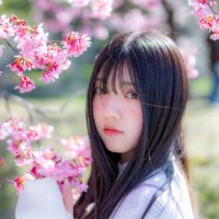 七海さくら🌸(@sakura_nanami10) 's Twitter Profile Photo