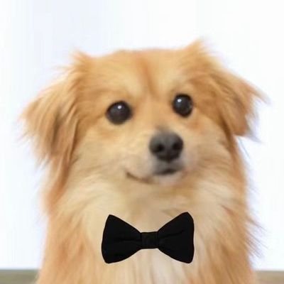 Jintao_1220's profile picture. 