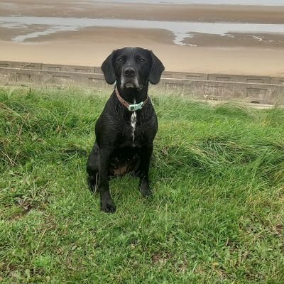 BurnleyJo's profile picture. 