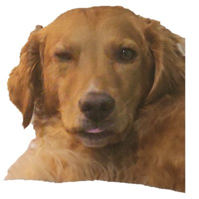 theJMRen's profile picture. A Father and IT geek as well as budding YouTuber who wishes to share videos to the world YouTube : https://t.co/eBU1TZvXqF
psn: warriorwolf