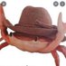 Crab (@uncle_crab1775) Twitter profile photo