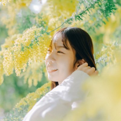 推し活するように魅力を拡散する 動画×SNSのおたすけ人| 発信まわりの“困った”を一緒に整えます|企画・撮影・編集・運用まるっと対応|しュうまいの成分はフルーツとお魚|#aiyueyo |#シーライクス|#Novie