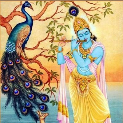 MaithiliRale's profile picture. 