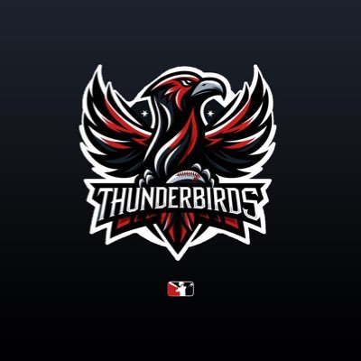 The Official Twitter of the Plattsburgh Thunderbirds professional baseball club of the @eblbaseball