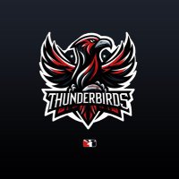 North Country Thunderbirds (@ebltbirds) 's Twitter Profile