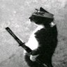 Elden_YL's profile picture. 22 | Campeón de Ludo King | Rey de los Aweonaos | he/him