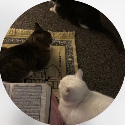 لا يُكَلِّفُ اللَّهُ نَفْسًا إِلَّا وُسْعَهَا