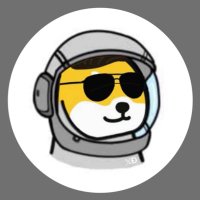 Interplanetary Dogecoin Advisor(@johncarter6016) 's Twitter Profile Photo