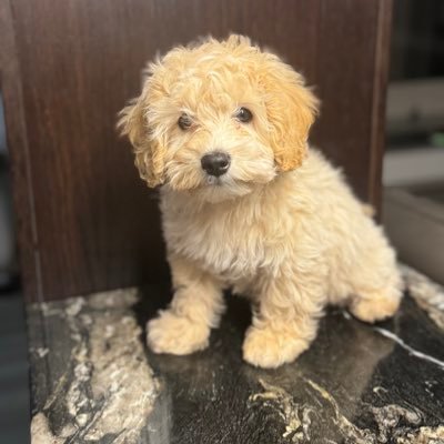 vullanki2104's profile picture. 