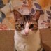 Maree💗🐾💗 (@maree71439592) Twitter profile photo Maree💗🐾💗 (@maree71439592) Twitter profile photo