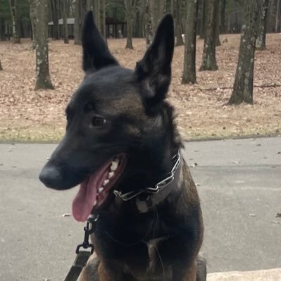 JimDejong11's profile picture. 