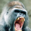 John Piccirilli - @picindex10 - Twitter