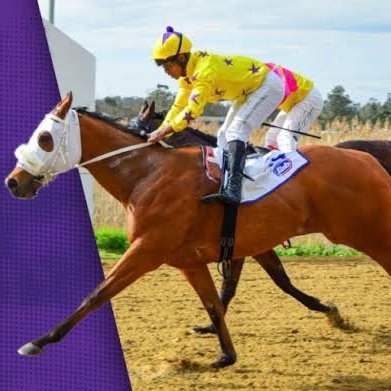 Great sports and horse racing handicapper with a keen eye for predicting outcomes. Exploring the world of sports and gaming, one bet at a time.