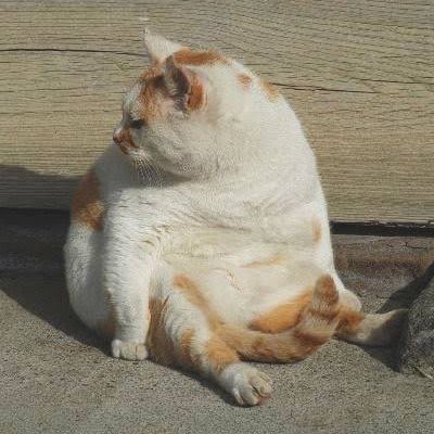 Ryo780408's profile picture.