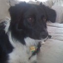 Nikki Rupe - @nikkirupe - Twitter