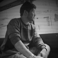 Lithophyte (@lithophyte13) 's Twitter Profile