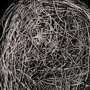 teddyb3b's profile picture. ketika kita bersama lagi suatu hari nanti,akan kuceritakan hari hari ku tanpamu🤍