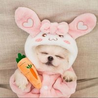 haruka (@f_out6) 's Twitter Profile