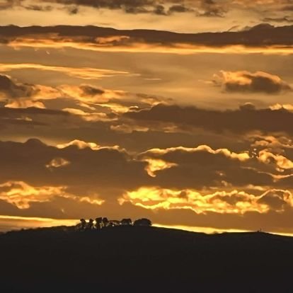 olly29704758465's profile picture. 