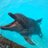 diver_miki's profile image