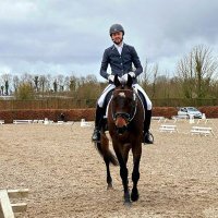 Ger McNulty Dressage (@germc15) 's Twitter Profile
