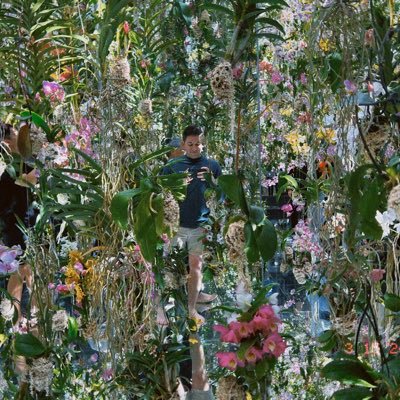 QuintonBlake42's profile picture. I’m not smart, I just wear glasses sometimes.