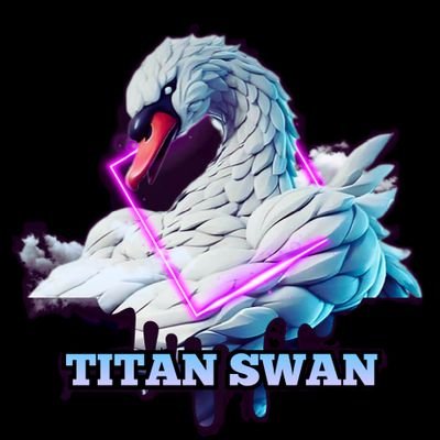 Fortnite Enthusiast. Content Creator. Subscribe for daily XP videos on YouTube (titan swan). Creator code: titanswan. Giveaways #titanswanlegit