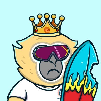 0xEnot's profile picture. Regular guy