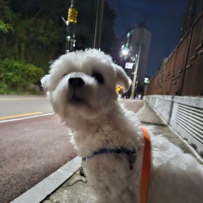 모바일 시대에 우리 생활은 빠르게 진화하고 모든 플랫폼이 바뀌고 있습니다
가장 빠르게 전하는 iot news 커뮤니티