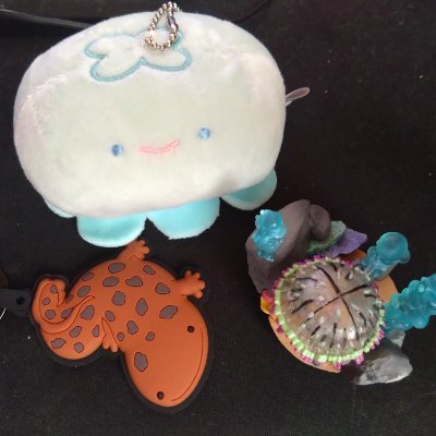 amamiya_yugioh's profile picture. Ｖヲタ　RIOT MUSIC推し
いおりす、ともだちせ、化ケモノ💀🐦‍⬛🦊
無言フォロー失礼します