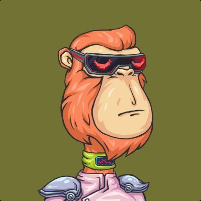 AksoyEnis's profile picture. Vivir mi Vida! 🧳🐶🎾👕👔👨‍🍳🌍🤘🏻
aksoyenis.polygon