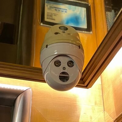 MizoMi35's profile picture. au 地域政策学部　大学用のアカを作りました